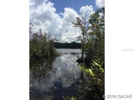 Lot24 51