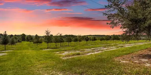 Lot 56 DUCK POND