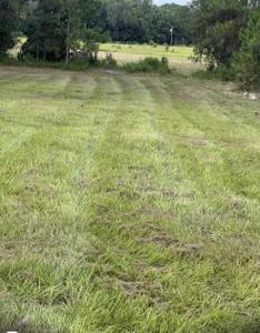 226 HUNTING SHORTCUT ROAD