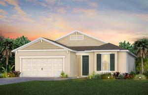 6152 CITRUS GROVE