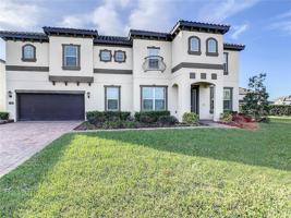 1558 JUNIPER HAMMOCK