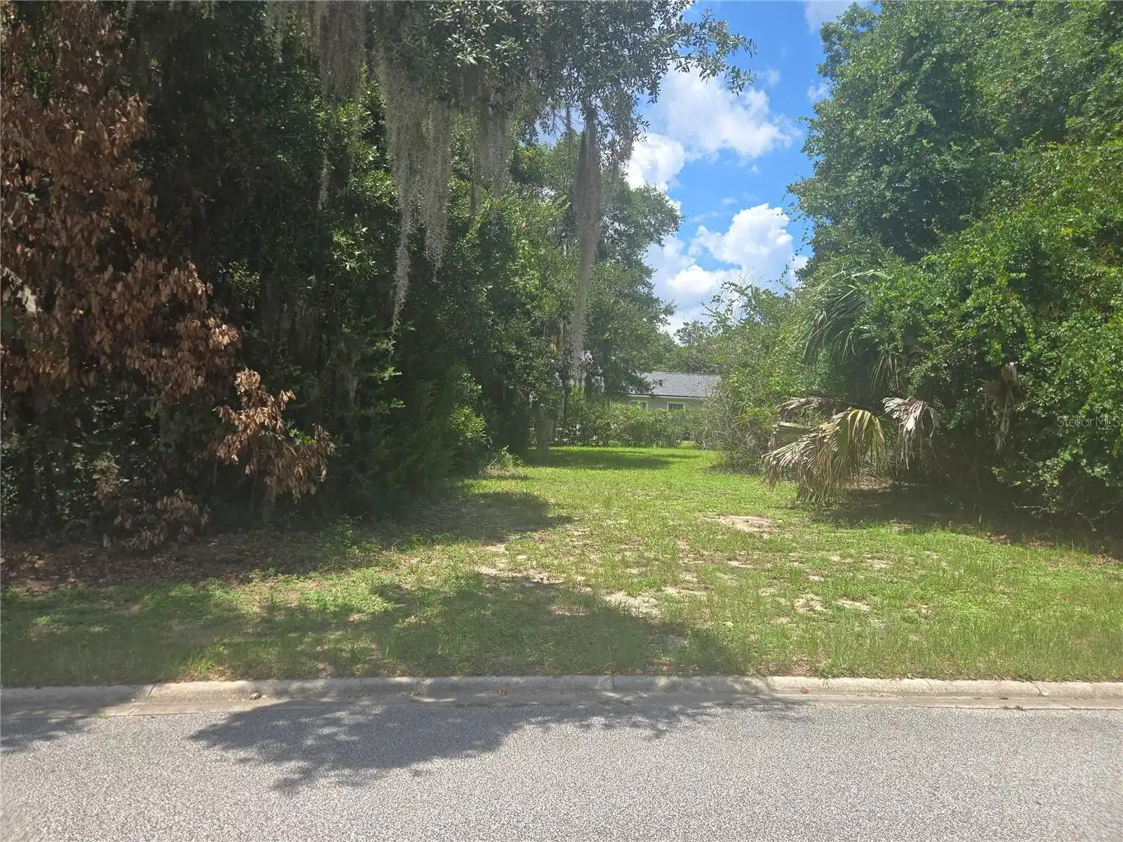 Image 1 Image 1