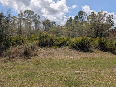 817 POINCIANA DRIVE