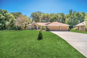 30317 REDTREE