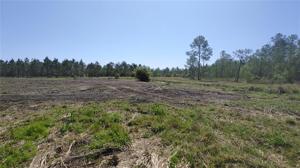 Lot 13 OMEGA RANCH