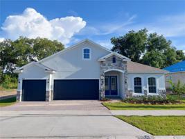 484 AVILA