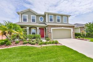 11036 SPRING POINT