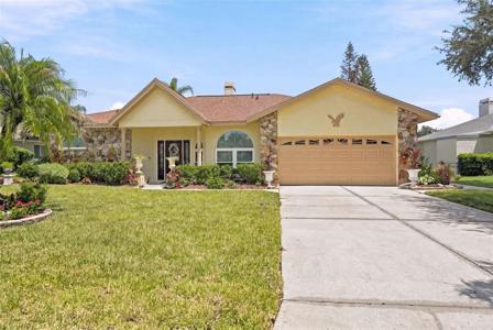 23427 PINE LAKE STREET