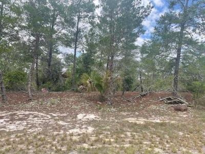 1342 HOMOSASSA DRIVE