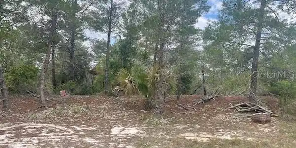 1342 HOMOSASSA DRIVE