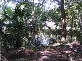 12910 ISLE