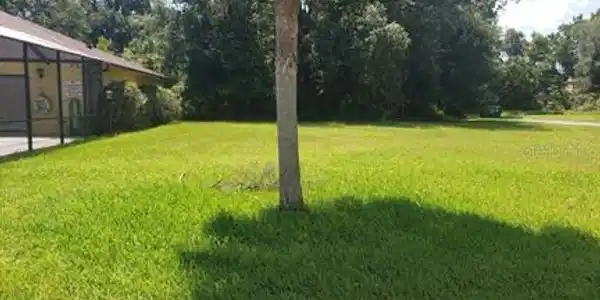 5 SUNRISE VILLAS