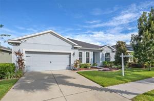 11022 SPRING POINT