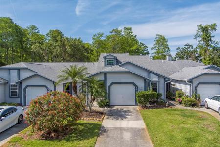 39650 US HIGHWAY 19 N