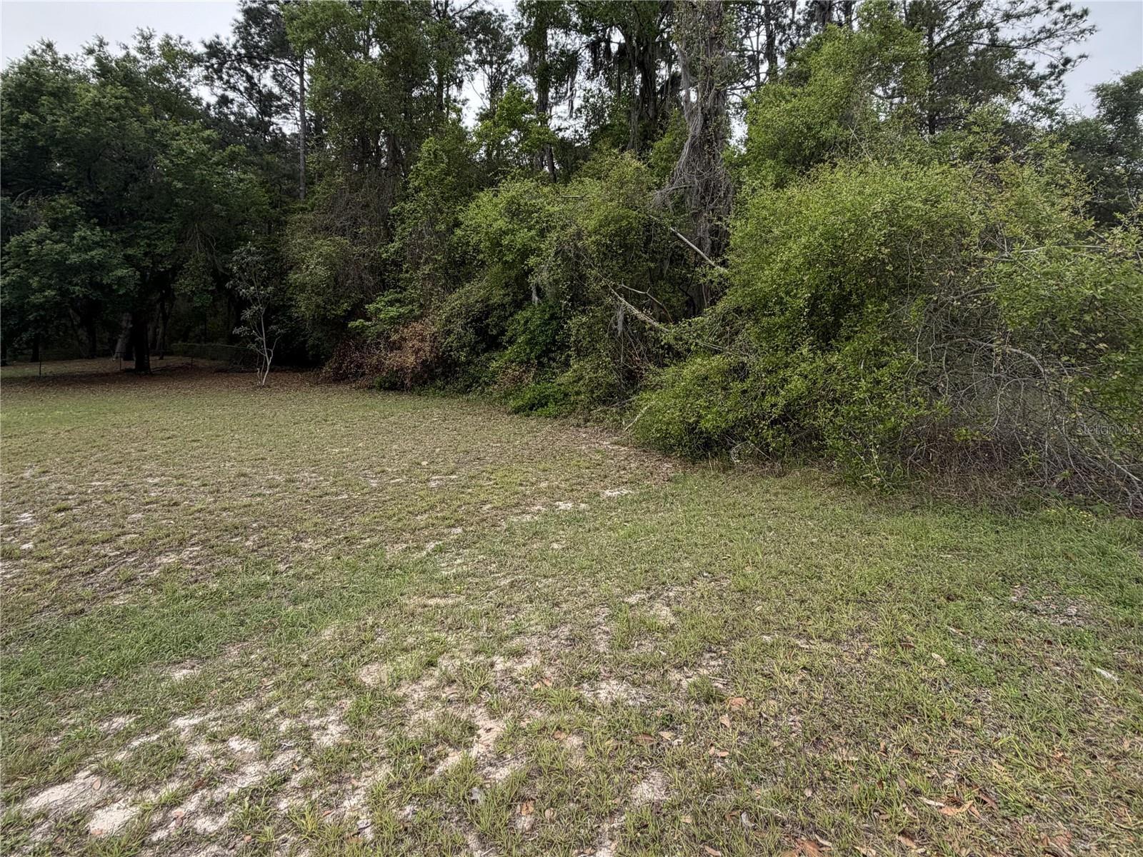 Image 1 Image 1