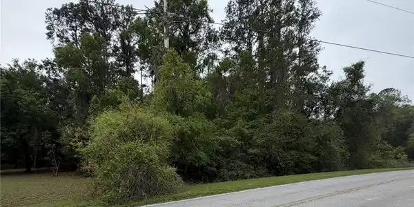Image 4 Image 4