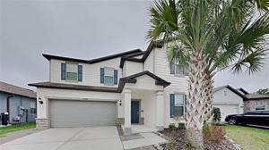 17244 GOLDCREST