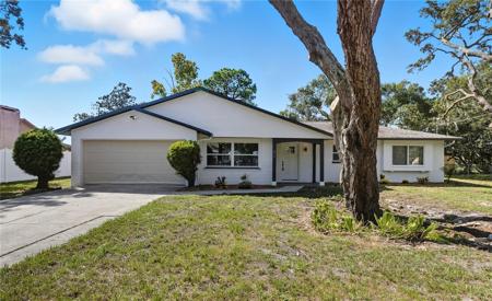577 WATERFALL DRIVE