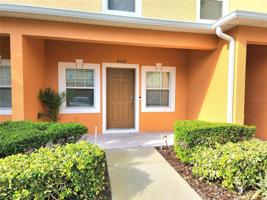 4169 SHADE TREE