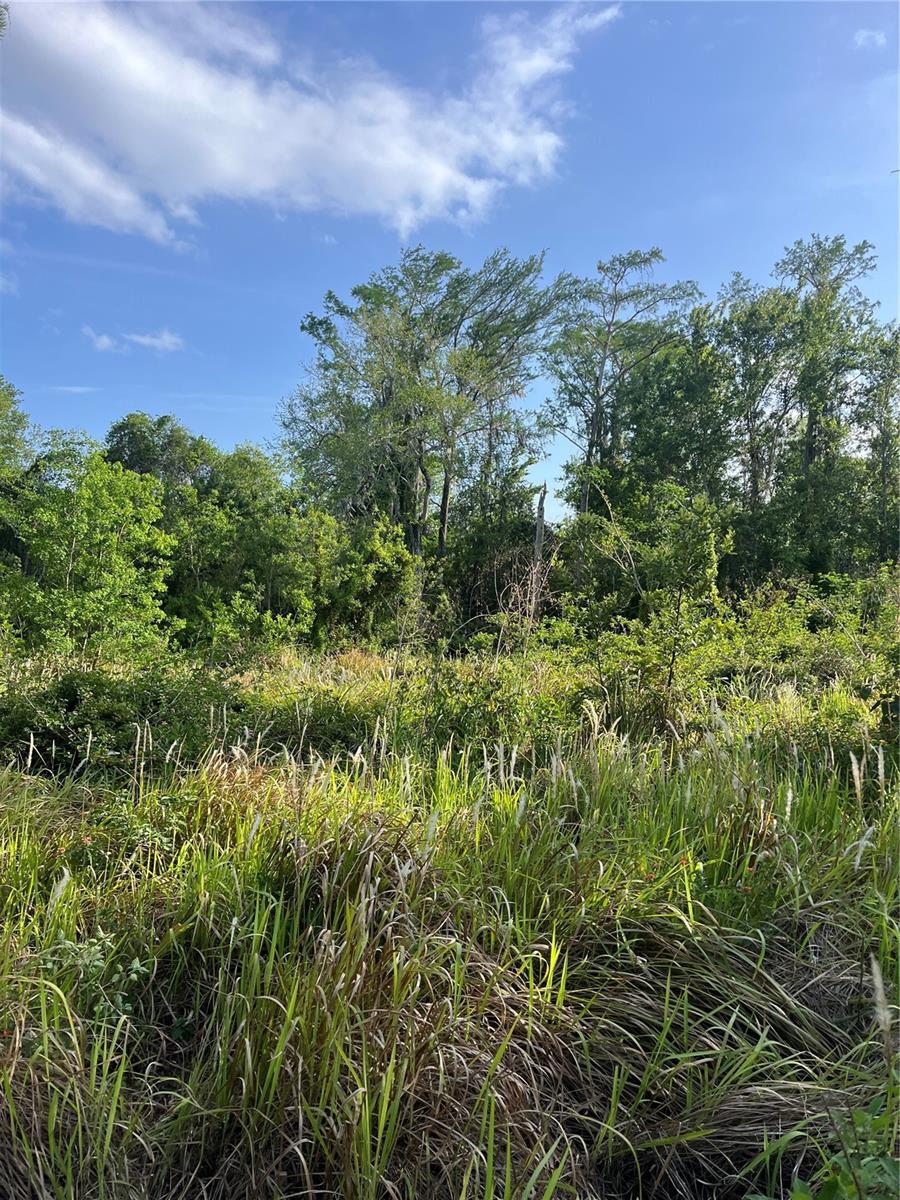Image 1 Image 1