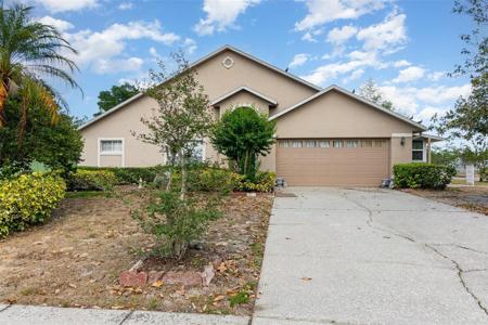 6019 LONG PEAK DRIVE