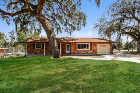 3746 PALM DRIVE
