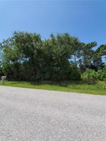 6229 COLLIER