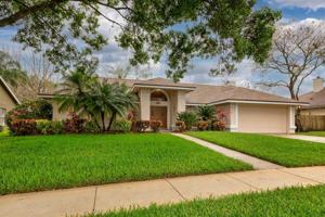961 ALMOND TREE