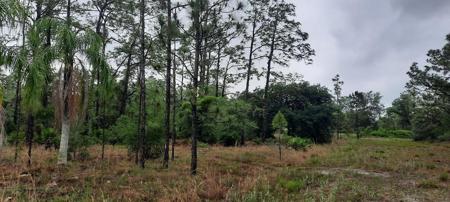 823 PANDORA DRIVE
