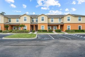 4031 WINDING VINE