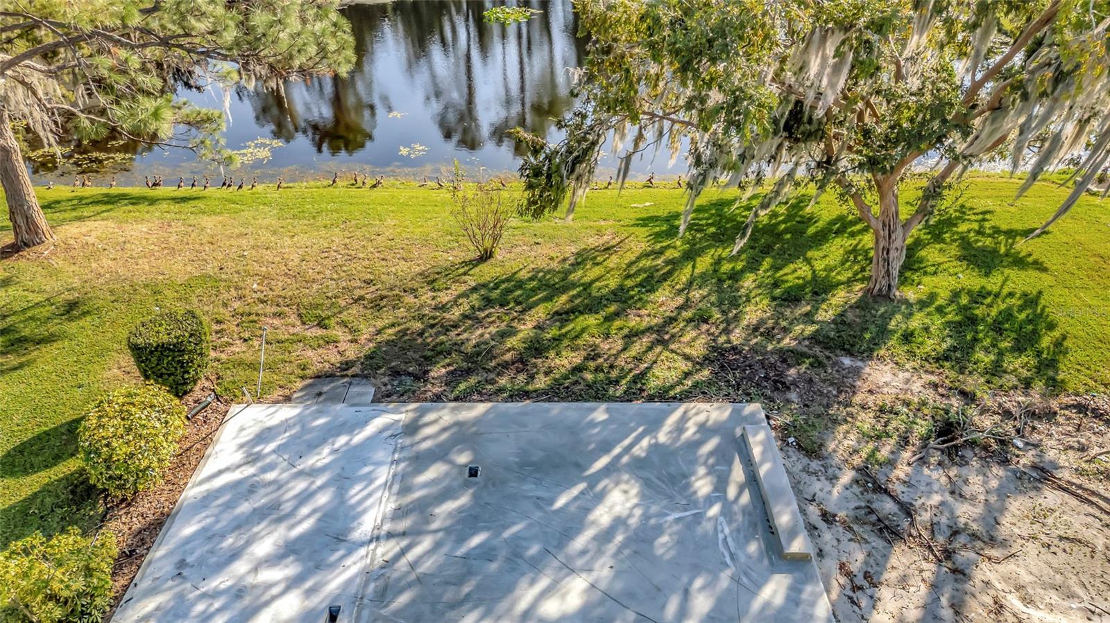 Image 4 Image 4