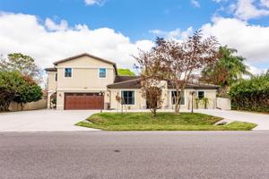 437 LIVE OAK