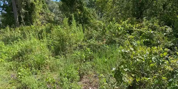 0 OLD GAINESVILLE HIGHWAY