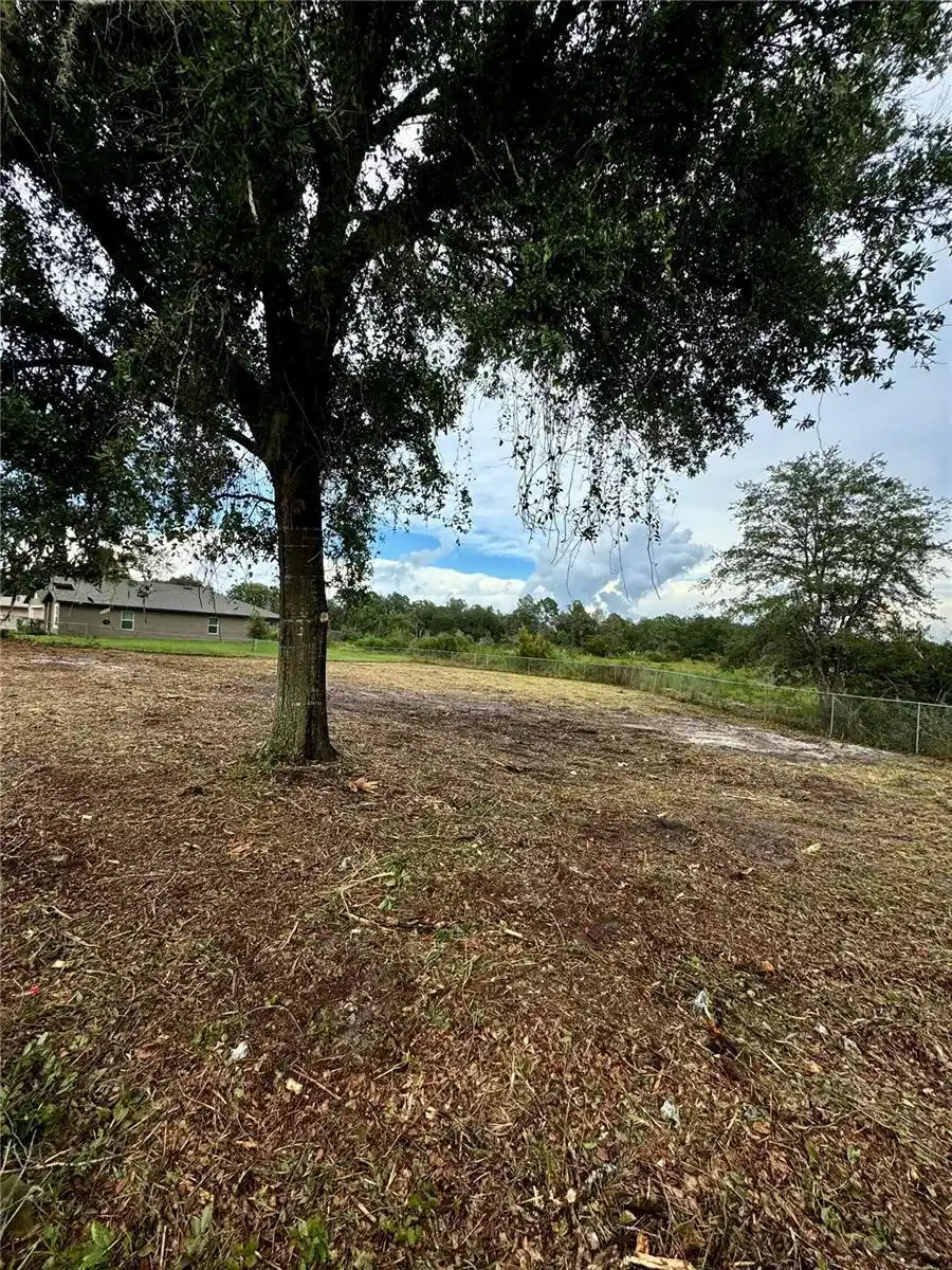 Image 1 Image 1