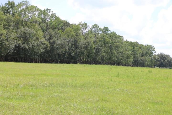 Image 3 Image 3