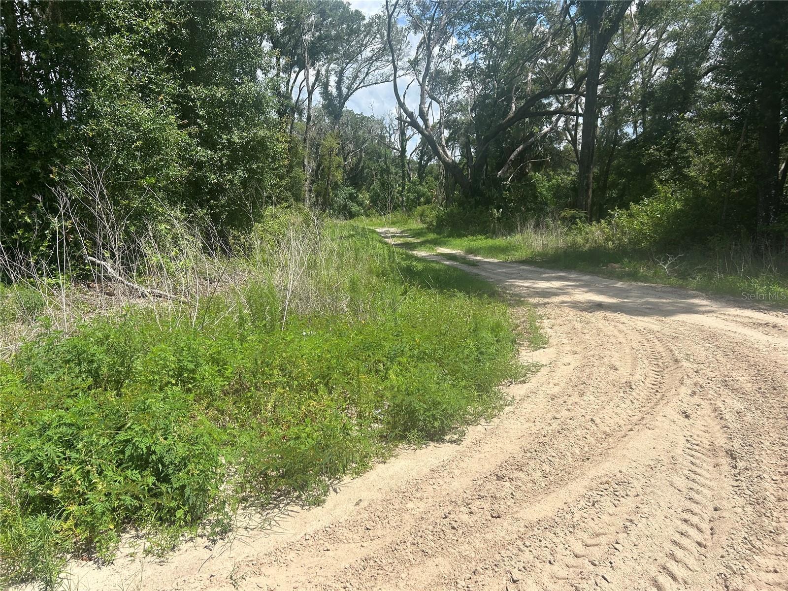 Image 1 Image 1