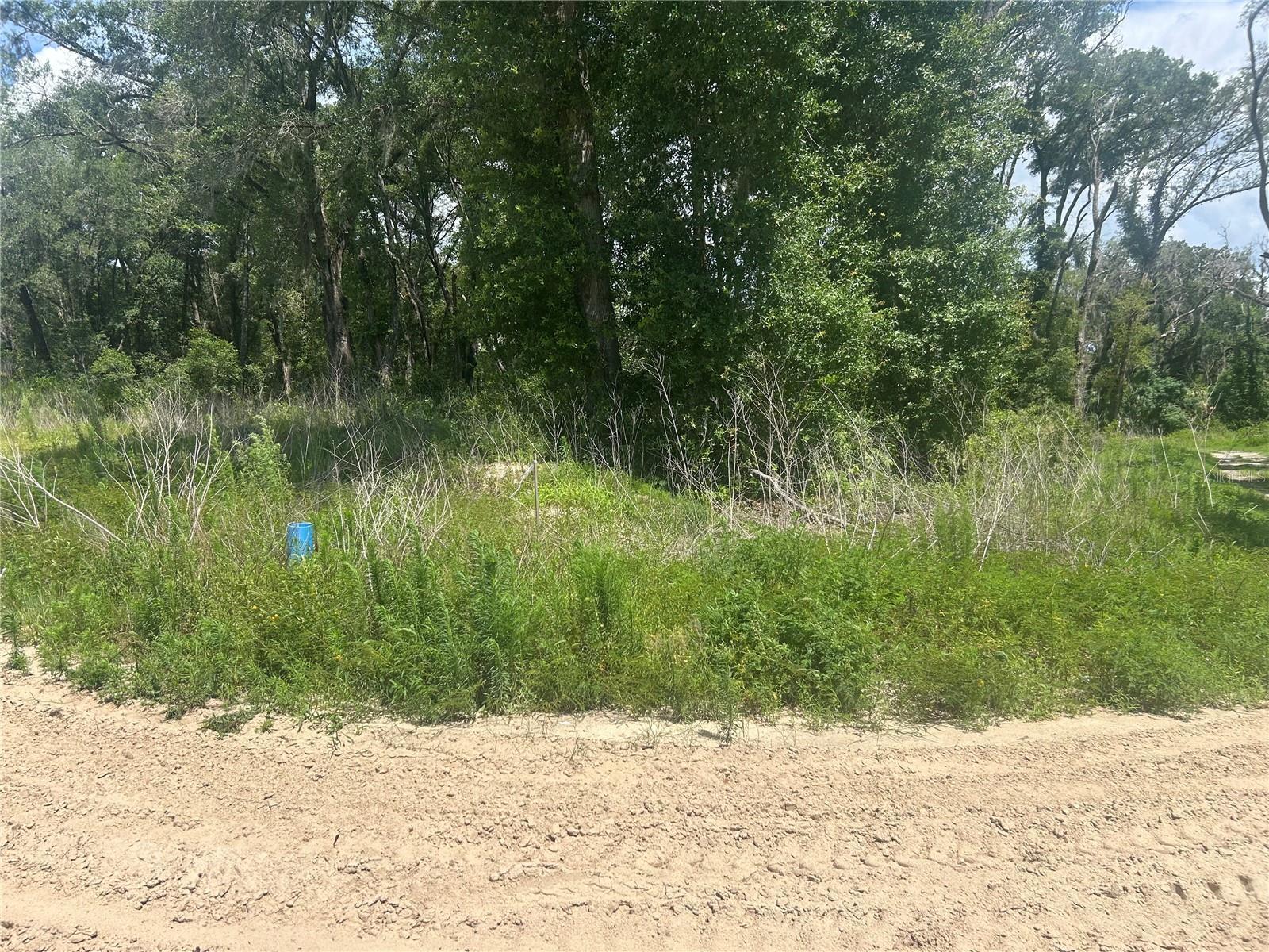 Image 3 Image 3