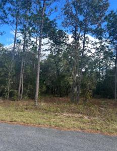 TBD LOCUST LOOP PLACE LOT 7