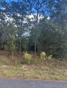 TBD LOCUST LOOP PLACE LOT 8