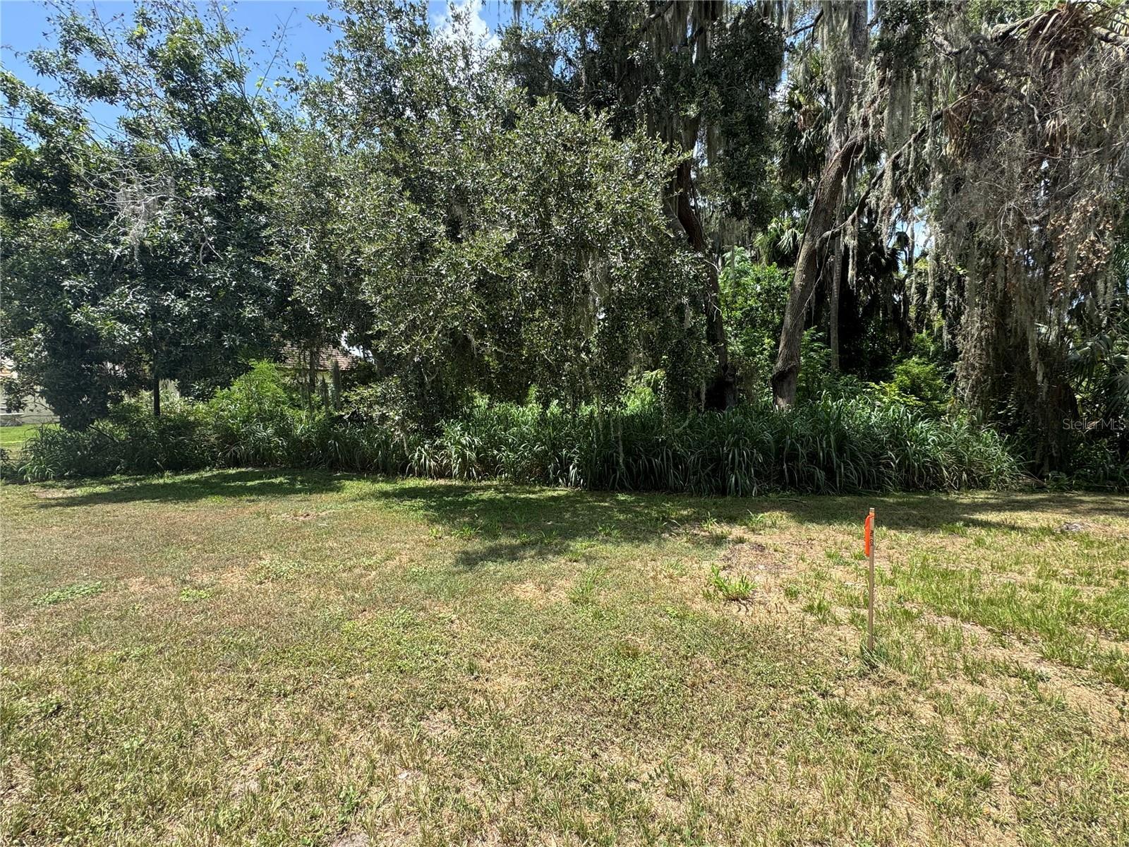 Image 3 Image 3