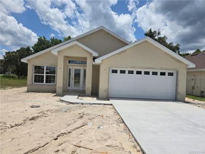 1117 HERON POINT DRIVE