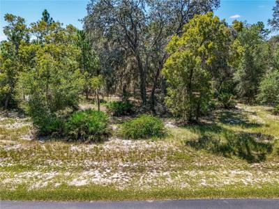 3134 BRIGHT LAKE CIRCLE