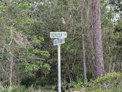 408 AZALEA DRIVE