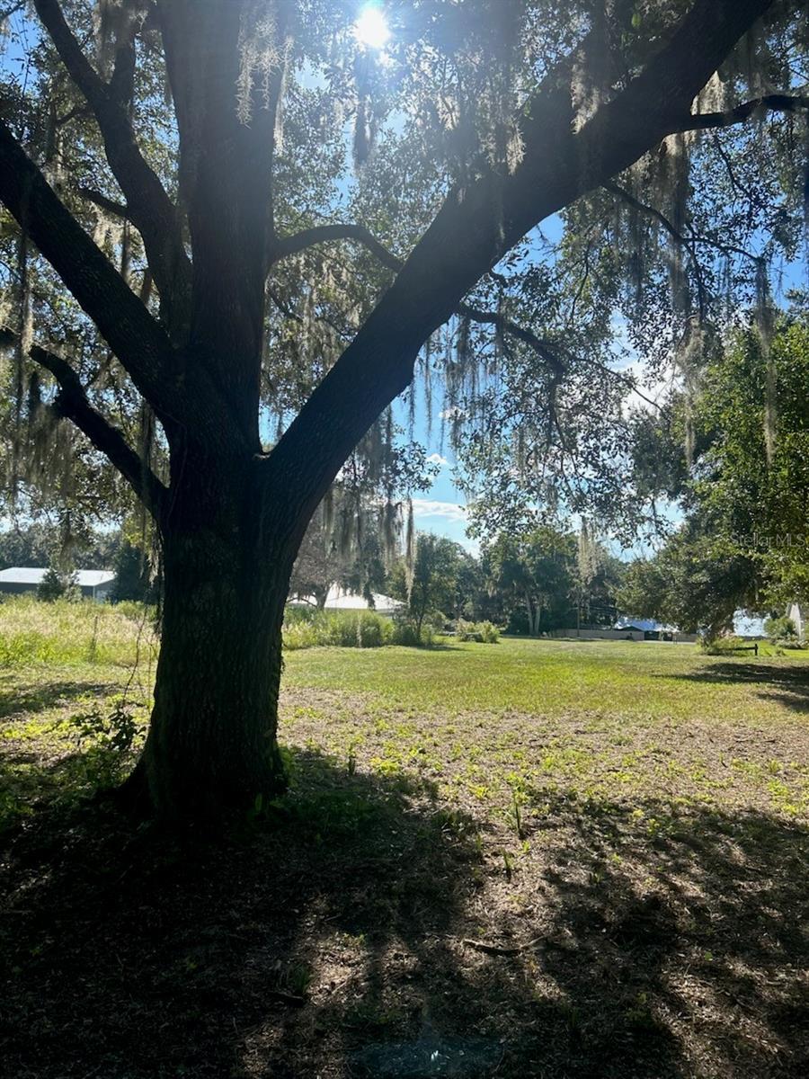 Image 4 Image 4