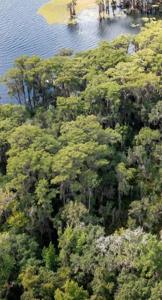 21707 NE 115TH AVENUE