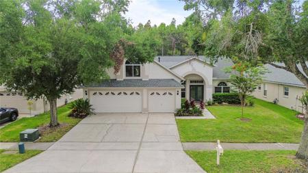 10217 TIMBERLAND POINT DRIVE