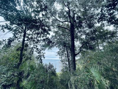 TBD NE 245TH STREET ROAD