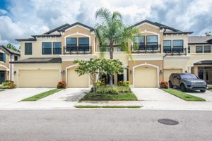 11738 CROWNED SPARROW LANE