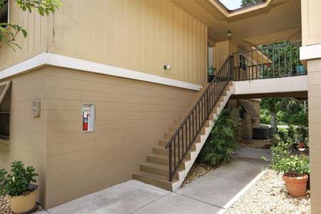 120 HIBISCUS WOODS