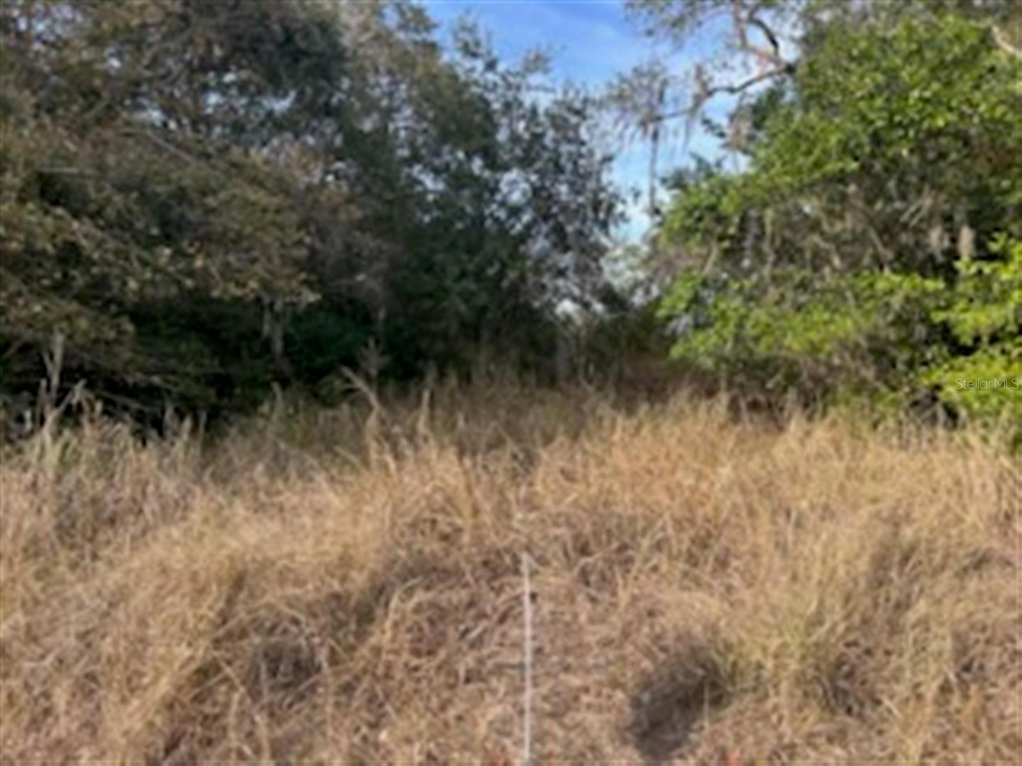Image 3 Image 3